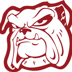 Fundraising Page: Nash D